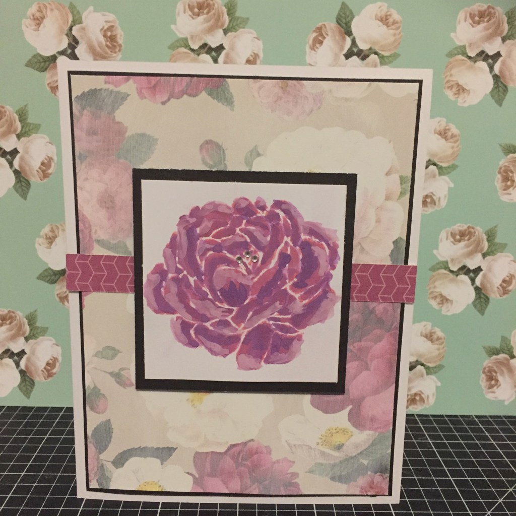 CTMH Live Beautifully Australasian Blog&nbsp;Hop