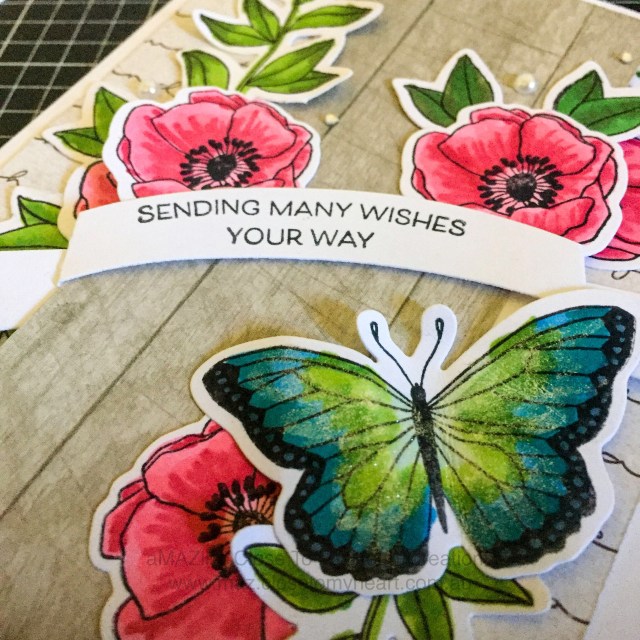 Close Up of Standard Colouring