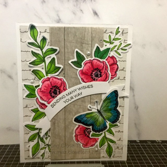 Sending Many Wishes Your Way - standard colouring #CTMH www.maz.closetomyheart.com.au