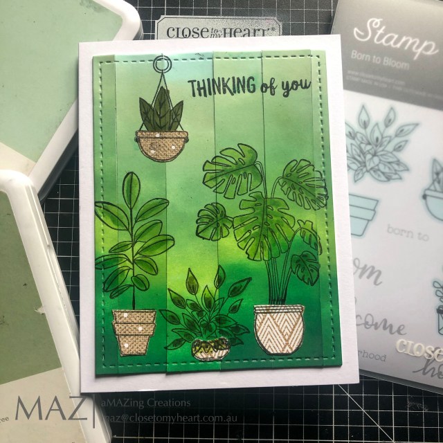 Thinking Of You Pot Plant Cards