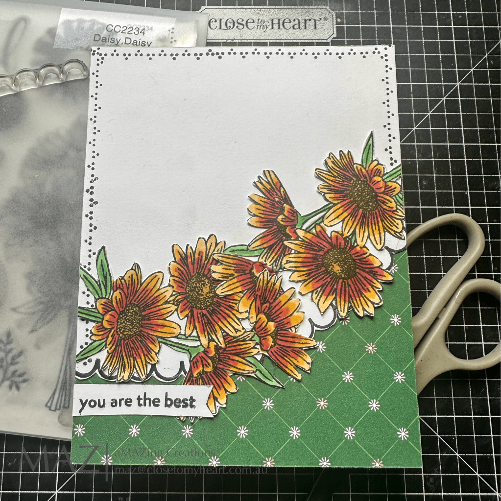 Close To My Heart Borders – Australasian Blog&nbsp;Hop