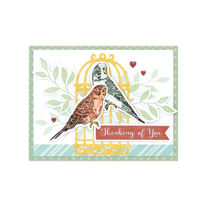 Perched Budgies Stamp + Thin&nbsp;Cuts