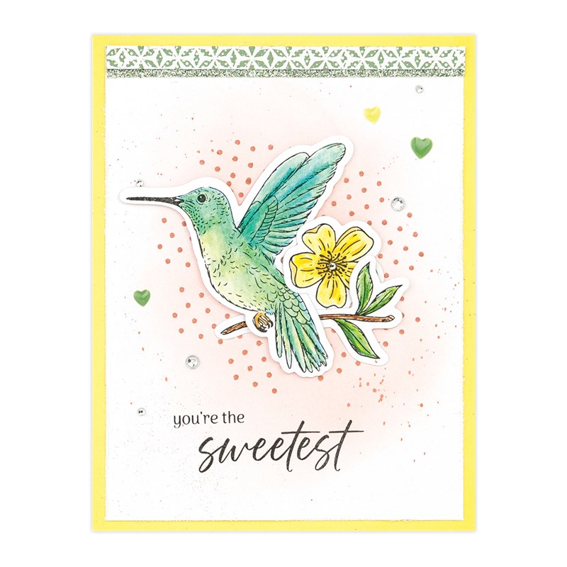 Capture the Dazzling Dance of&nbsp;Hummingbirds