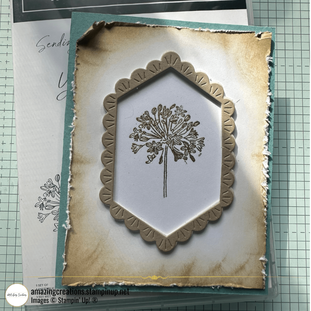 A Touch of Nature: A Framed Single Stemmed Wildflower&nbsp;Card