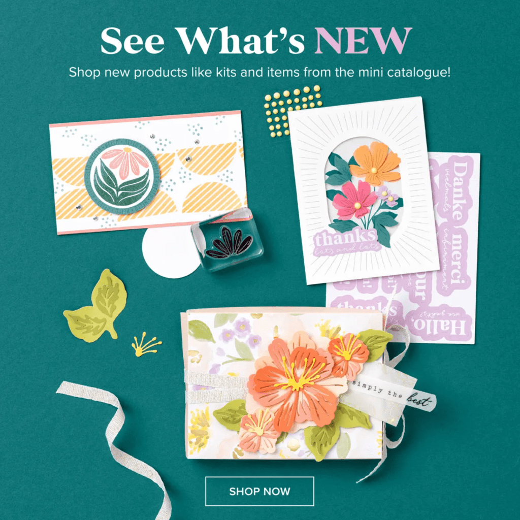 New Arrivals: Catalogs & Kits
The wait is over! Fresh designs and innovative tools have arrived:
January–April Mini Catalogue: It’s officially live - the new catalogue is packed with inspiration.
Online Exclusives: New products that aren't in any catalogue have just dropped—be sure to check the website to see what’s hidden there!